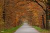Hamont-Achel - Een prachtig herfst-afdak
