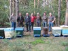 Overpelt - Vandaag gezien