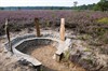 Lommel - Nieuwe kijkwandeling in Kattenbos
