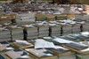 Overpelt - Vandaag gezien