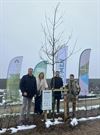 Oudsbergen - 10.000ste klimaatboom geplant in Oudsbergen