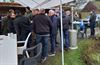 Hamont-Achel - Burenborrel in de (Kleine) Balenhoek