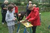 Lommel - Kinderen in Bosland beschermen vlinders