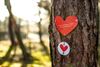 Lommel - Wandel de 'Tour d'amour' deze Valentijn