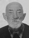 Peer - Leopold 'Robik' Daens overleden