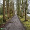Bocholt - De lindendreef naar de pastorie van Reppel