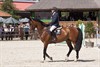 Lommel - Jan Vlemmix wint in Zwitserland