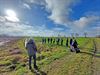 Peer - Peer als voorbeeld voor klimaatrobuuste landbouw