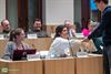 Pelt - De gemeenteraad van 27 februari (1)