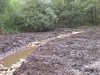 Overpelt - Werken vernatting natuurgebied ’t Plat gestart