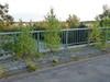 Lommel - Een 'ecoduct' over de Noord-Zuid