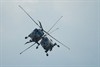 Pelt - Ruim 35.000 toeschouwers op airshow