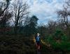 Beringen - Code Oranje in de natuur