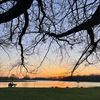 Beringen - Wat een mooie dag!