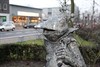 Neerpelt - Korte gemeenteraadsberichten