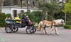 Hamont-Achel - Kicken met sport