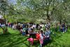 Beringen - Genieten onder de bloesems, eerste zomerbar open