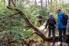 Lommel - Bijna 1.200 wandelaars op Paastocht Milieu 2000
