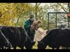 Pelt - Natuurpunt Pelt gooit de deuren open