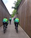Pelt - Naar de 'betonnen kop'