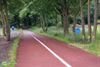 Pelt - Bomen gerooid voor veiliger zicht op fietssnelweg