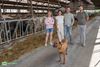 Pelt - Boerderij Op Stelten voor 300 Peltse kinderen