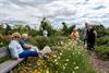 Pelt - Gezellige drukte op Open Tuindag D’n Goeien Oard