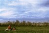 Neerpelt - Zebracinema vanavond: 'Rompecabezas'