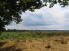 Hechtel-Eksel - Waar is al dat zwart water naar toe?
