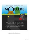 Leopoldsburg - Molleke - 9 augustus '25