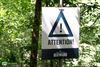 Bree - Heathland Gravel trekt door de bossen