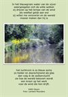 Leopoldsburg - Blauwgroene vijver