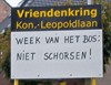 Lommel - Vandaag gezien...