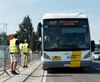 Peer - Gratis Pukkelpop-nachtbussen naar Peer