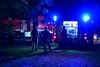 Beringen - Kleine bosbrand in Koersel