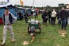 Overpelt - Ondertussen, aan de Wedelse Molen...