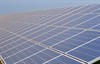 Overpelt - Bedrijven in groep voor zonnepanelen