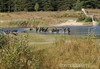 Lommel - Vandaag gezien...