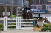Bocholt - Starbello van ’t Goolder op WK jonge paarden