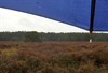 Lommel - Vandaag gezien...