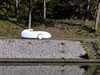 Lommel - Ondertussen, langs het kanaal...