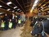 Overpelt - Grootouderdag in de Clementiaanschool
