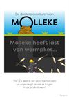 Leopoldsburg - Molleke - 25 november '25