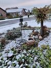 Leopoldsburg - Eerste sneeuw (2)