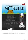 Lommel - Molleke - 3 januari '26