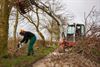 Peer - Boerennatuur Vlaanderen werkt aan houtkanten