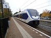Lommel - Voor een prikje door Nederland