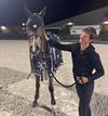 Oudsbergen - Nicola Philippaerts triomfeert met Gadget Mouche