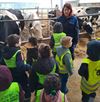 Hamont-Achel - De Geluksvogel-kleuters op bezoek bij de boerderij