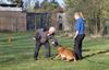 Hamont-Achel - Leesplezier en dierenpret op De Robbert